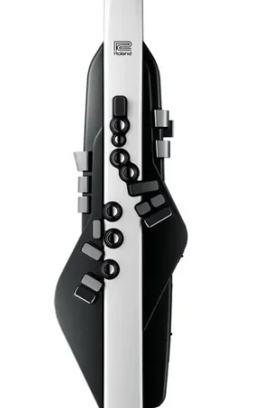 Ultimissimo Modello Roland sax elettronico AE20 Aerophone